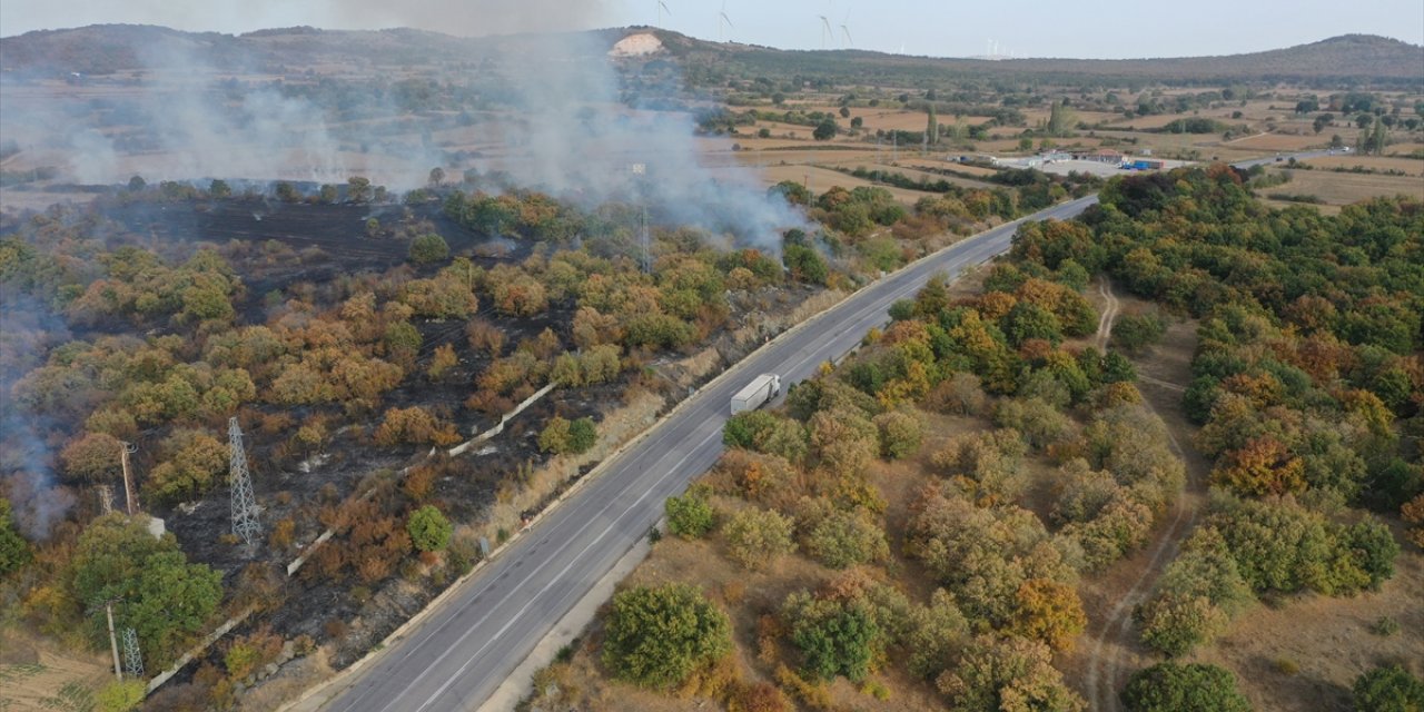 Edirne'de sınır kapısı yolu kenarında başlayıp ağaçlık alana sıçrayan yangın söndürüldü