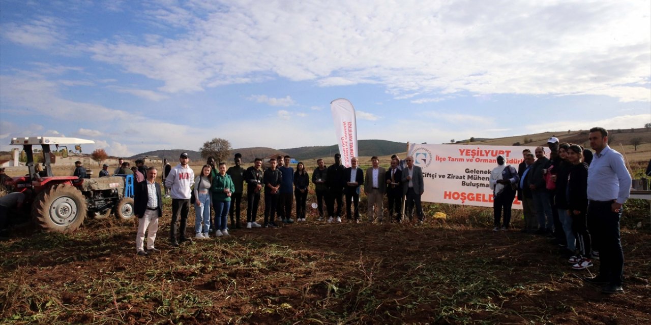 Tokat'ta üniversite öğrencileri pancar hasadına katıldı