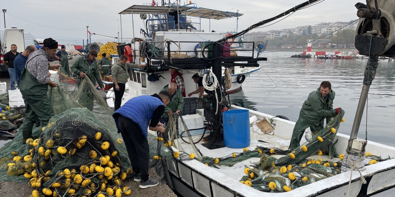 Marmara Denizi'nde Tekirdağ açıklarında lüfer bolluğu yaşanıyor