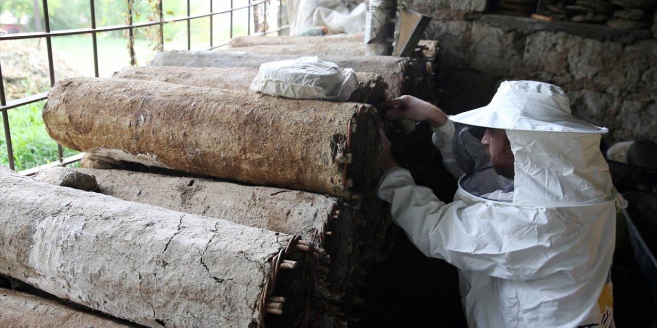 Bitlis'te kara kovan balının hasadına başlandı