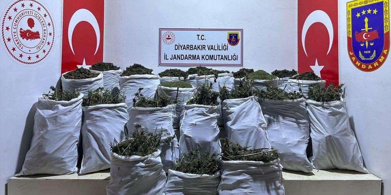 Diyarbakır'da 543 kilogram esrar ile 8 bin 350 kök skunk bitkisi ele geçirildi