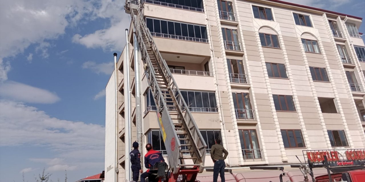 Kahramanmaraş'ta ağır hasarlı binada mahsur kalan kediyi jandarma kurtardı