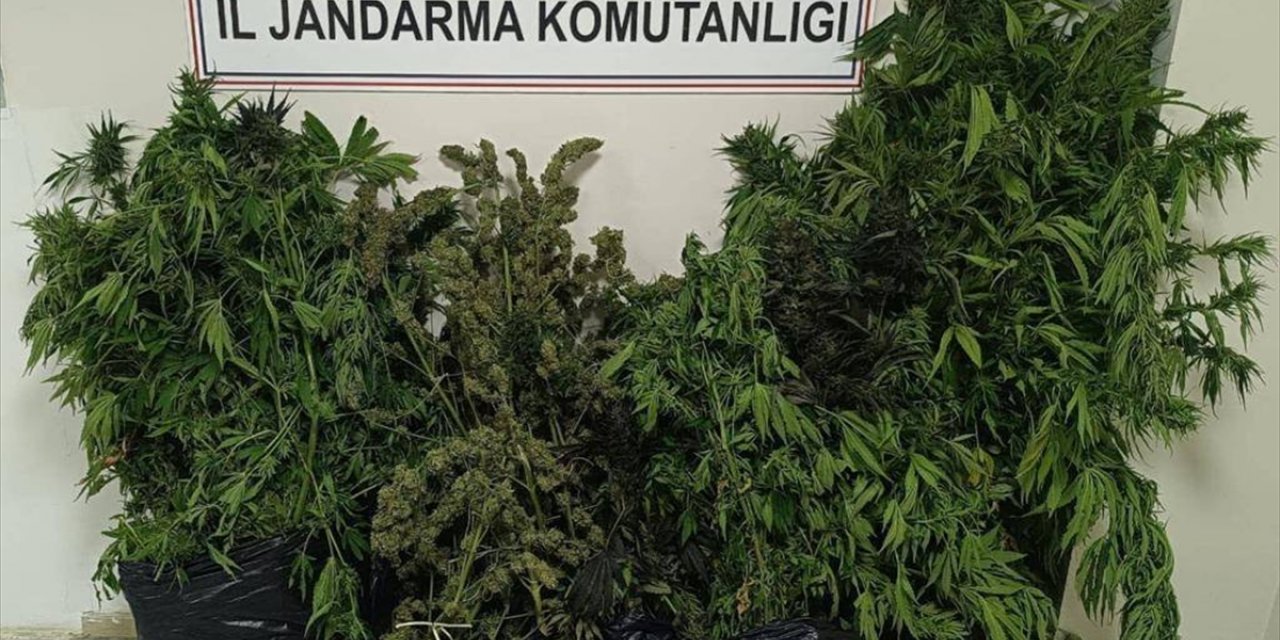 Bingöl'de 50 kilo 998 gram esrar ele geçirildi