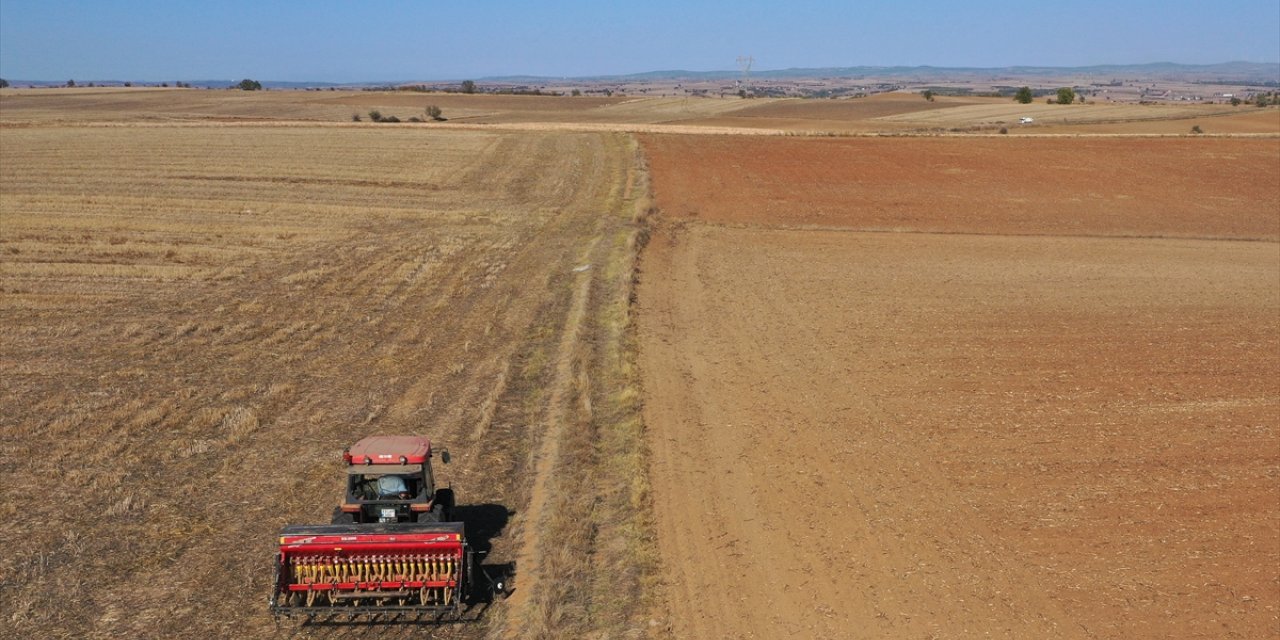 Edirne'de çiftçiler buğday tohumlarını bu yıl da kuru toprağa ekiyor