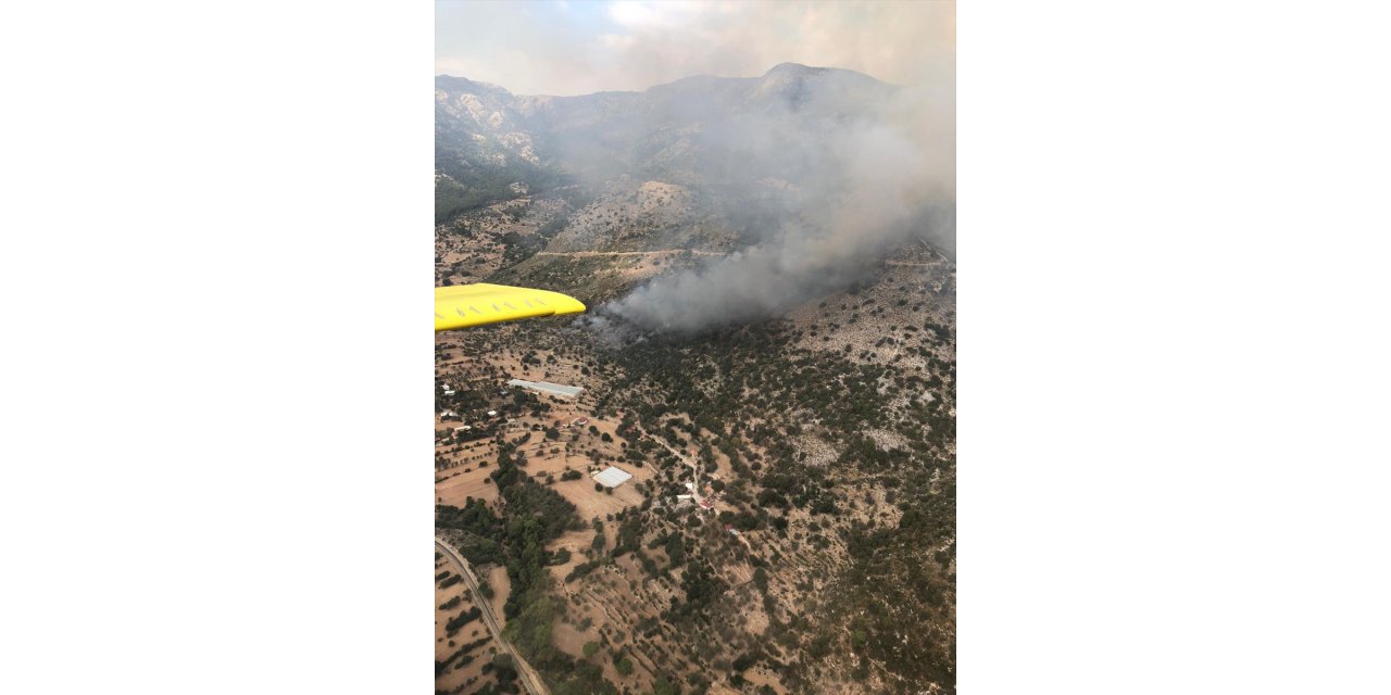 Muğla'da makilik ve tarımsal alanda yangın çıktı