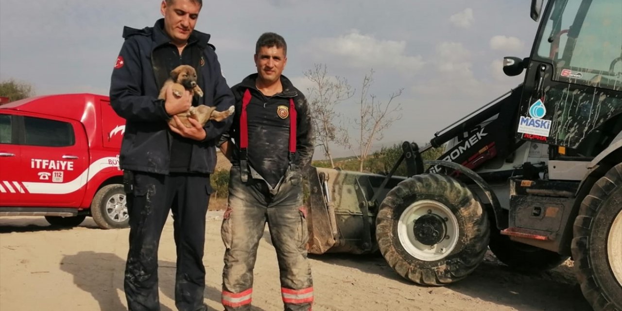 Malatya'da enkaz altında mahsur kalan köpek kurtarıldı