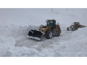 Van-Hakkari kara yoluna çığ düştü