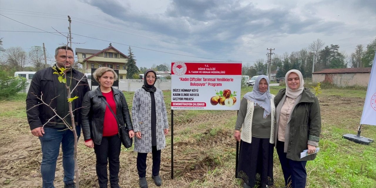 Düzce'de kadınların yetiştirdiği hünnabın ilk hasadı yapıldı