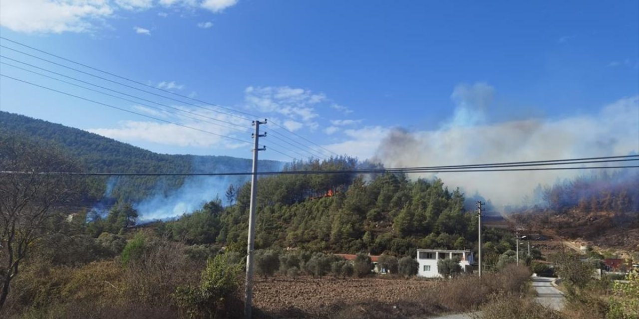 Muğla'da orman yangını başladı