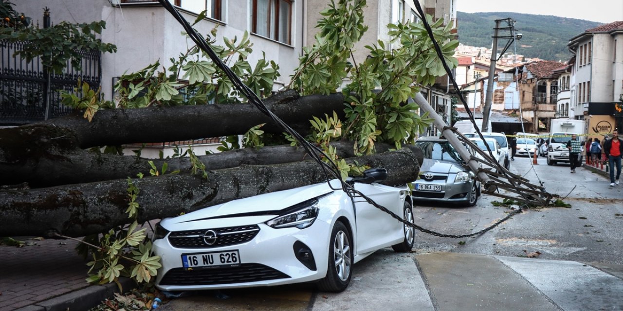 Bursa'da lodos nedeniyle ağaç ve elektrik direği araçların üzerine devrildi