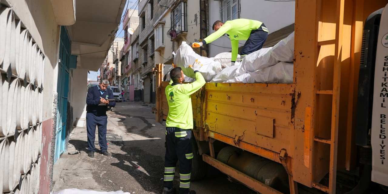 Gaziantep'te budanan ağaçlar dar gelirli ailelerin evini ısıtacak