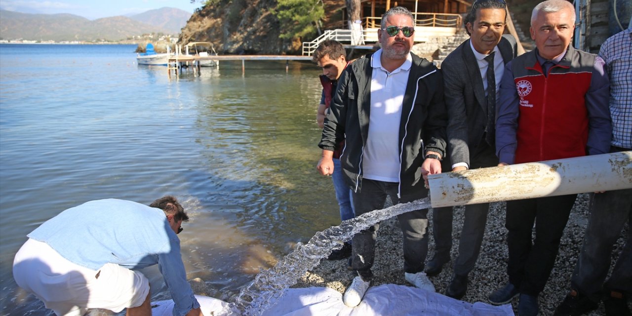 Fethiye'de 200 bin levrek yavrusu denize salındı