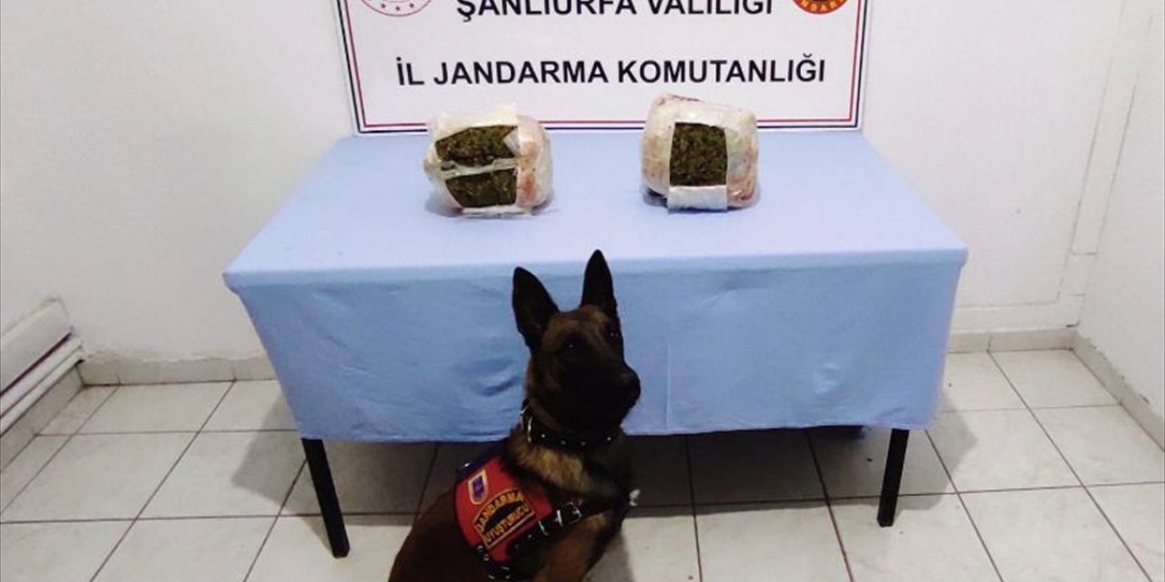 Şanlıurfa'da 3 kilogram skunk ele geçirildi