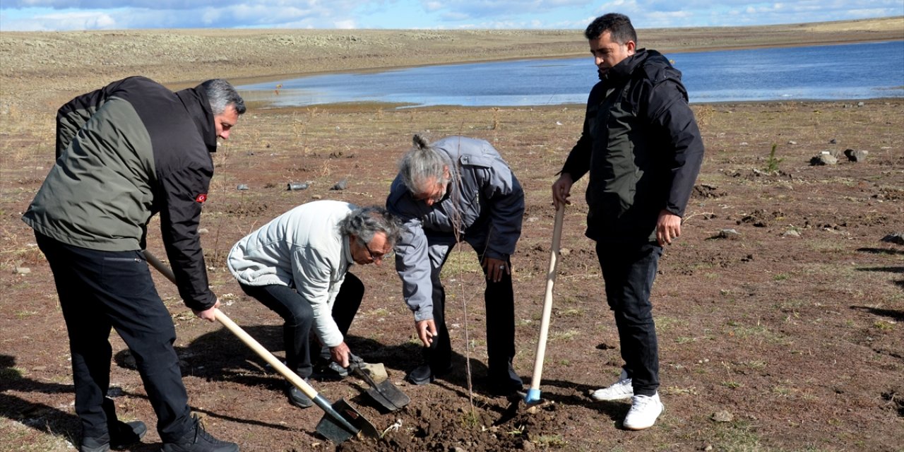 Kars'taki Asboğa Gölü çevresine yaban kuşları için 100 fidan dikildi