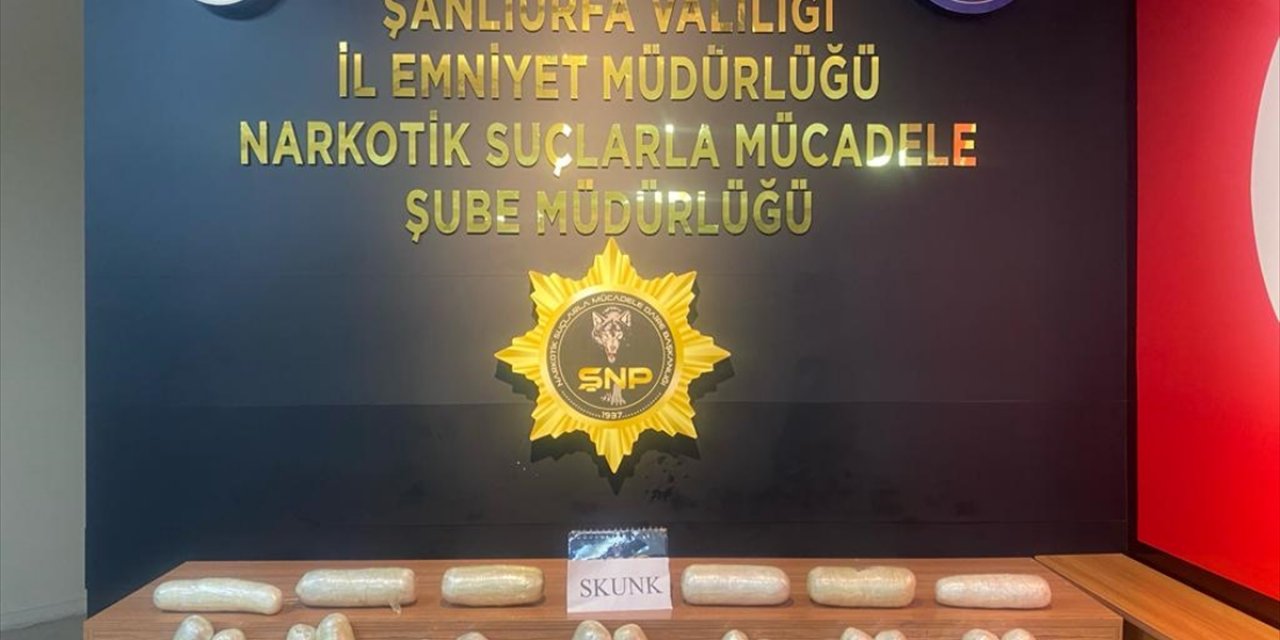 Şanlıurfa'da 10 kilo 450 gram skunk ele geçirildi