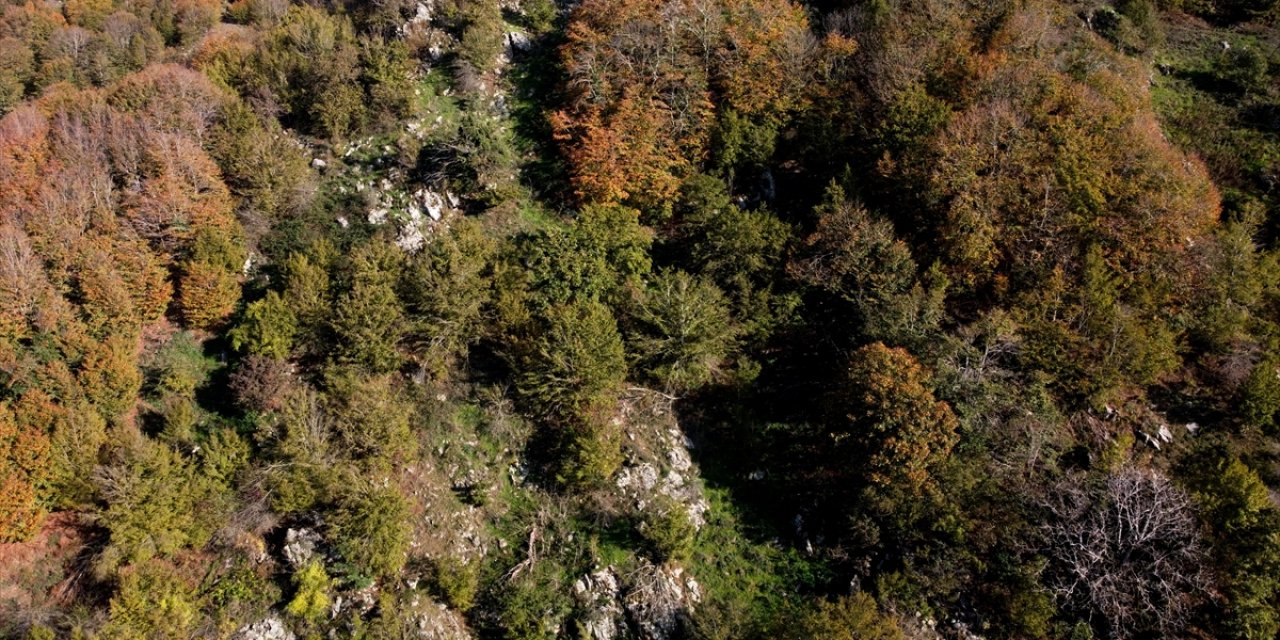 Osmaniye'deki Dumanlı Yaylası sonbahar renklerine büründü