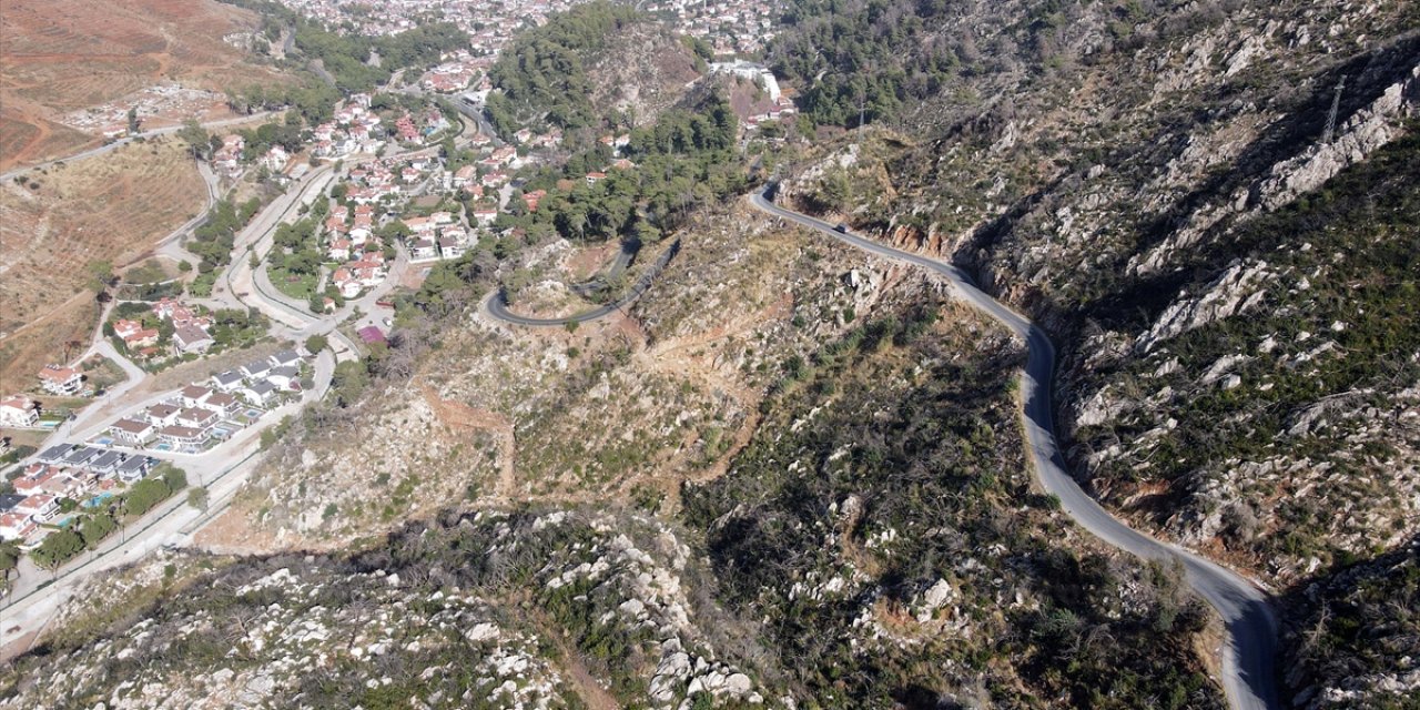 Muğla'da 2 yıl önce yanan ormanlar yeniden yeşeriyor