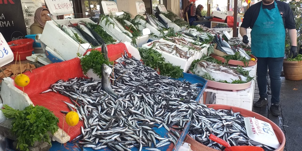 Zonguldak'ta bollaşan hamsinin fiyatı 50 liraya düştü