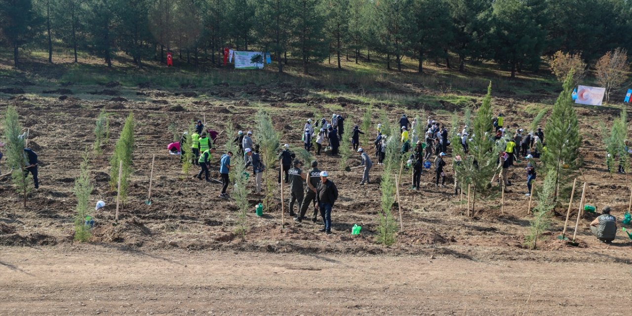 Diyarbakır'da 2 bin 23 fidan toprakla buluşturuldu