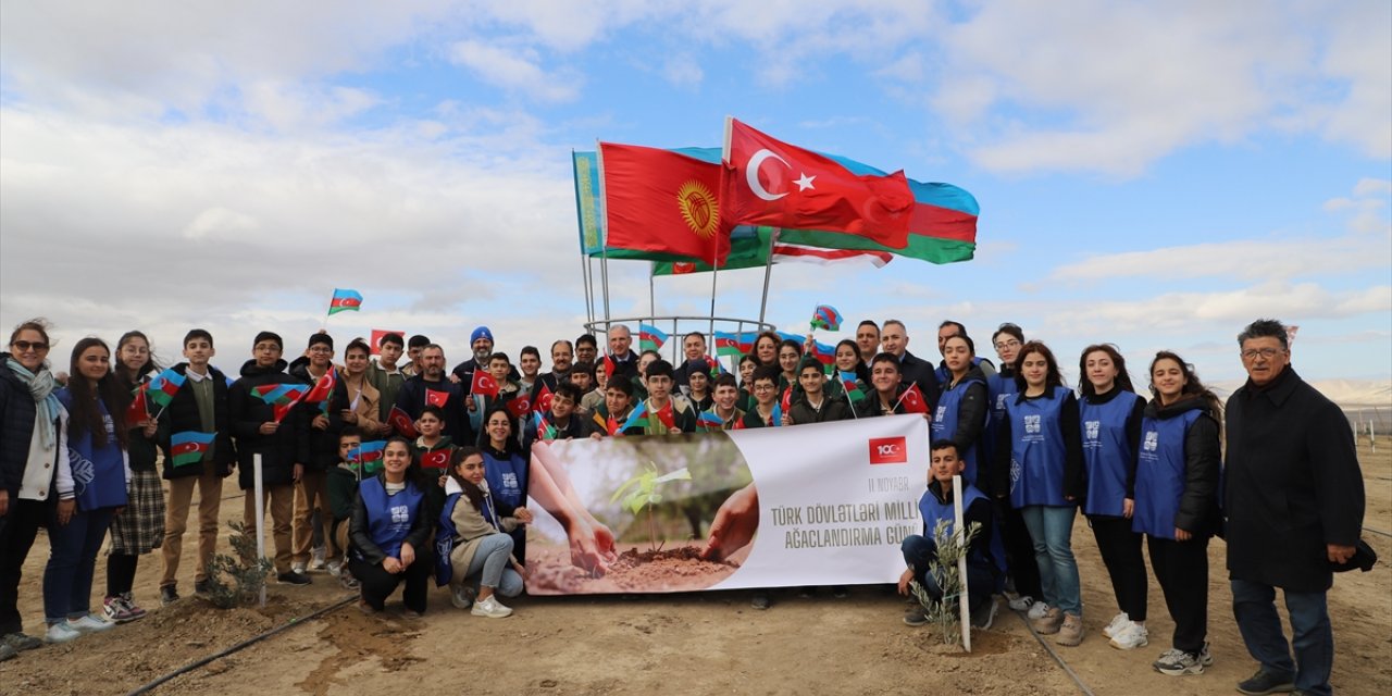 Azerbaycan'da 11 bin 111 fidan toprakla buluştu