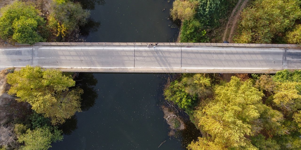 Sakarya Nehri'nin çevresinde sonbahar renkleri hakim oldu