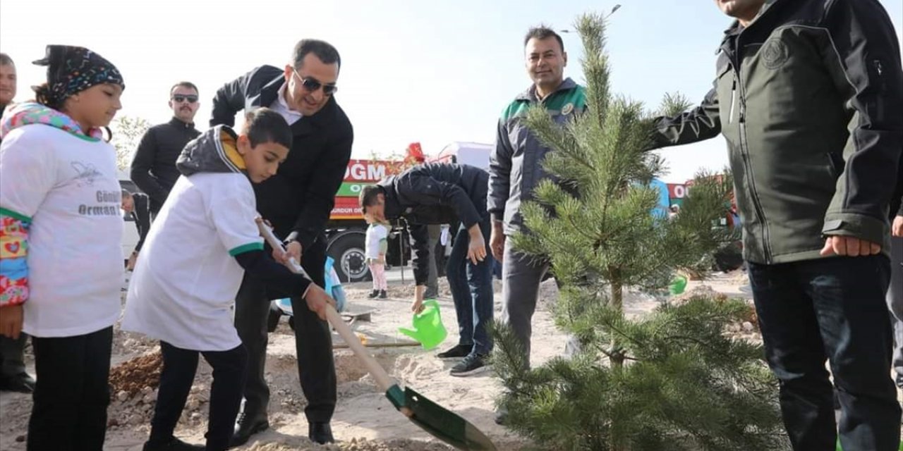 Antalya ve çevre illerde fidanlar toprakla buluştu