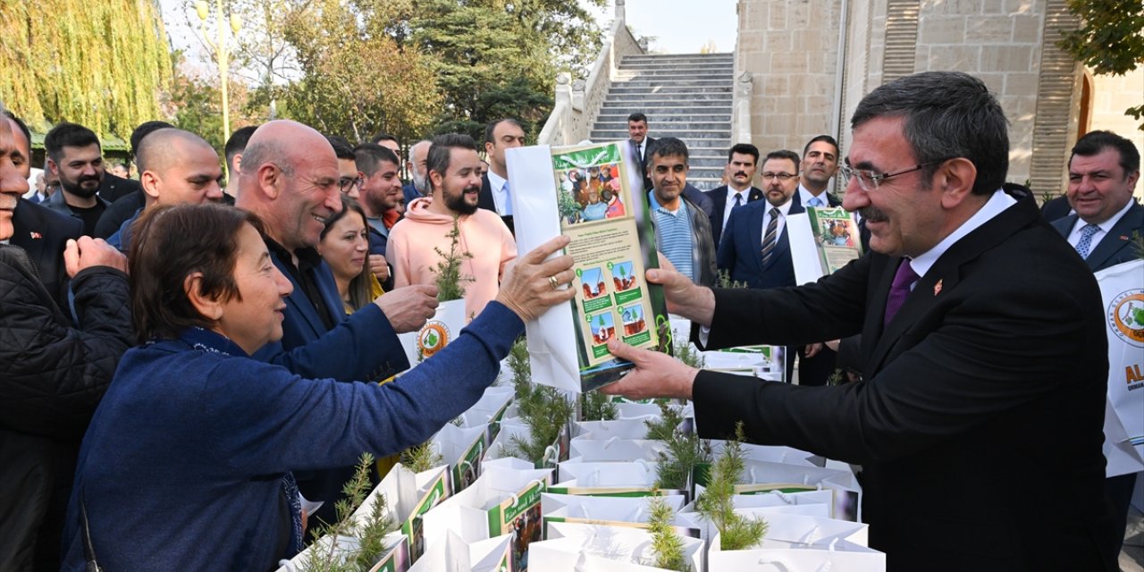 Cumhurbaşkanı Yardımcısı Yılmaz, Milli Ağaçlandırma Günü dolayısıyla fidan dikti: