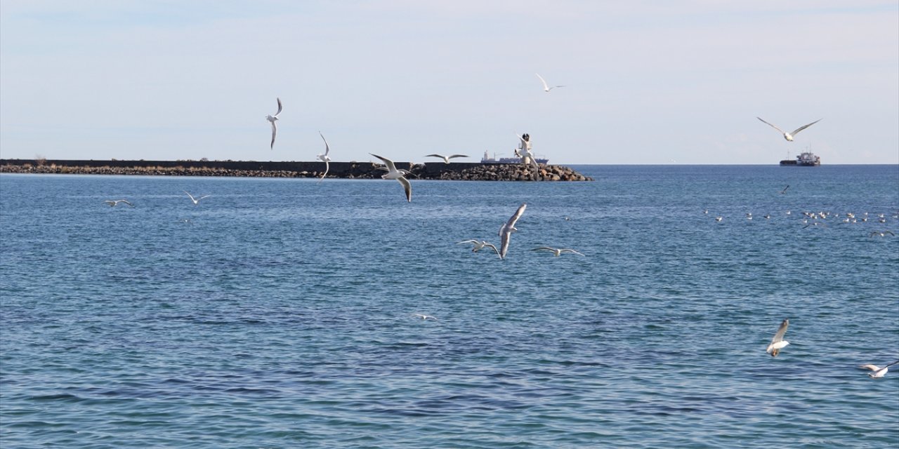 Tekirdağ'da deniz ulaşımı normale döndü