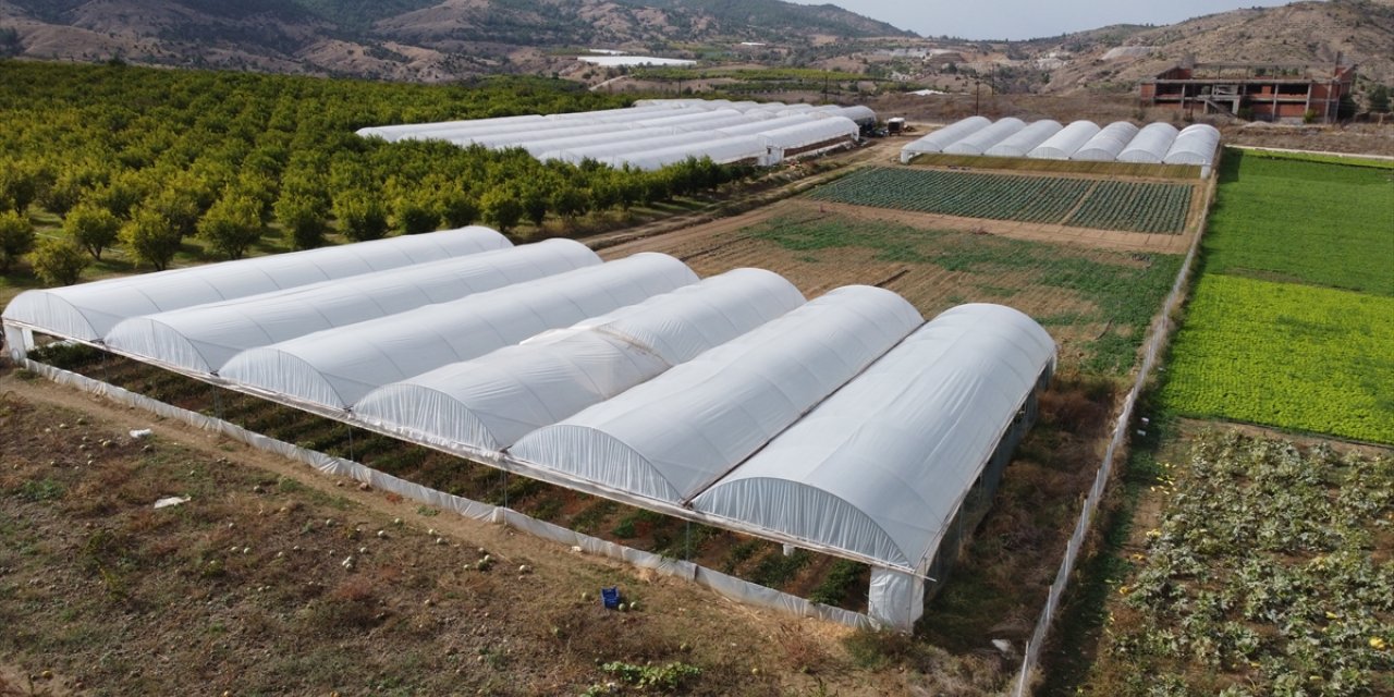 İnhisarlı kadınlar kurdukları kooperatifle hayallerini gerçekleştirdi