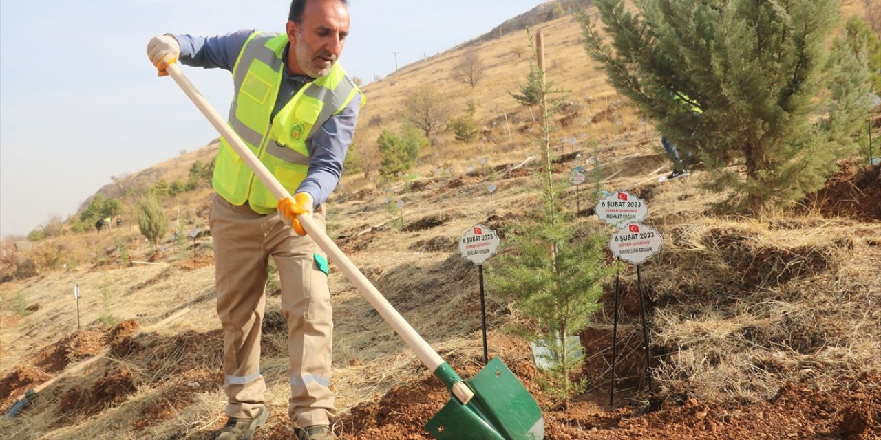 Malatya'da depremlerde hayatını kaybedenler anısına fidan dikildi