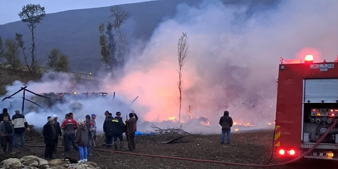 Tokat'ta çıkan yangında 50 koyun telef oldu