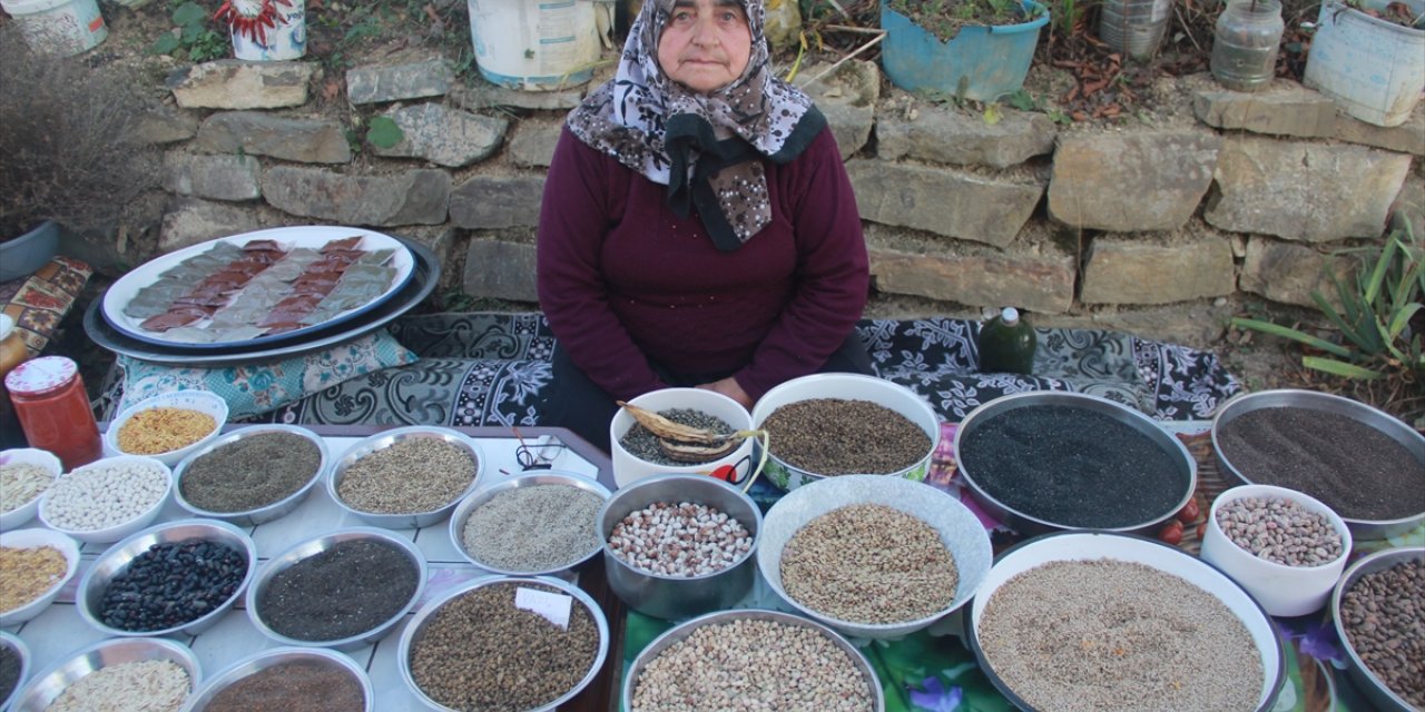 Ata mirası tohumları gelecek nesillere aktarmak için çaba gösteriyor