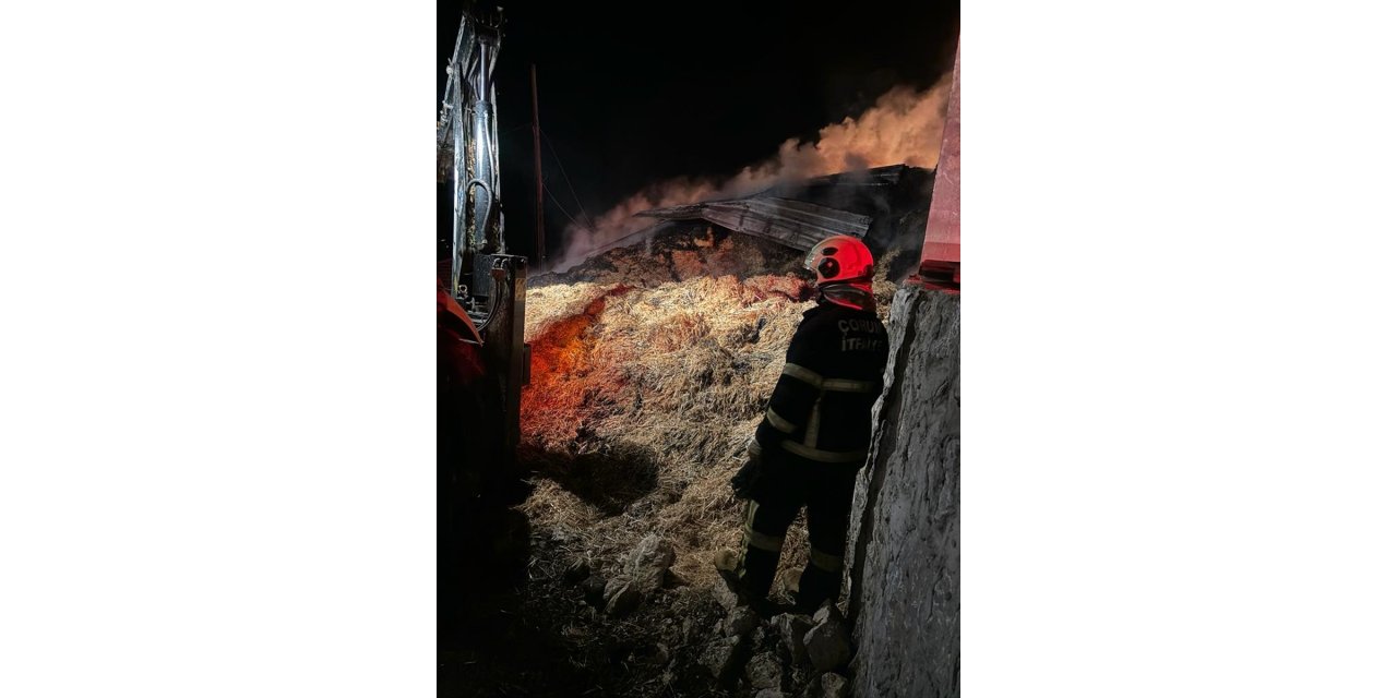 Çorum'da bir evde çıkan yangın hasara neden oldu