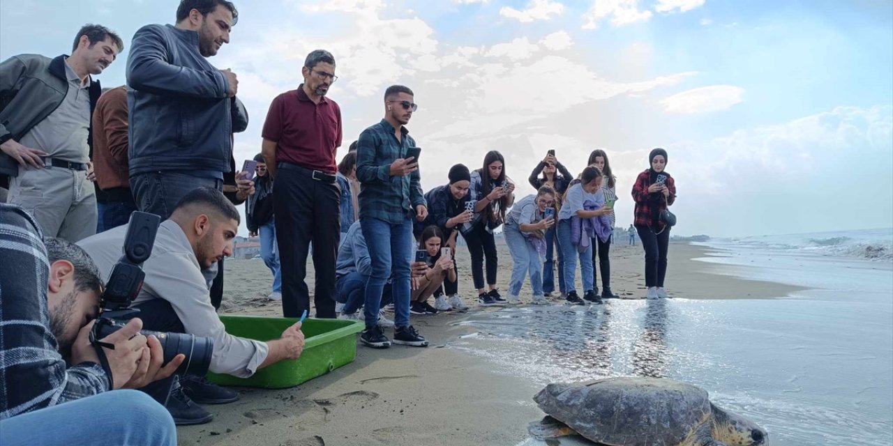 Hatay'da tedavisi tamamlanan caretta caretta denize bırakıldı