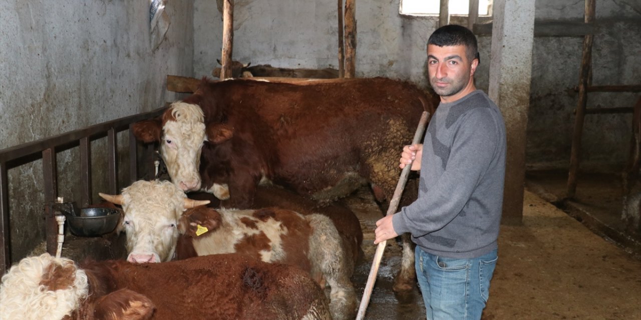 Ziraat mühendisi devletten aldığı hibeyle köyünde kalıp sürü sahibi oldu