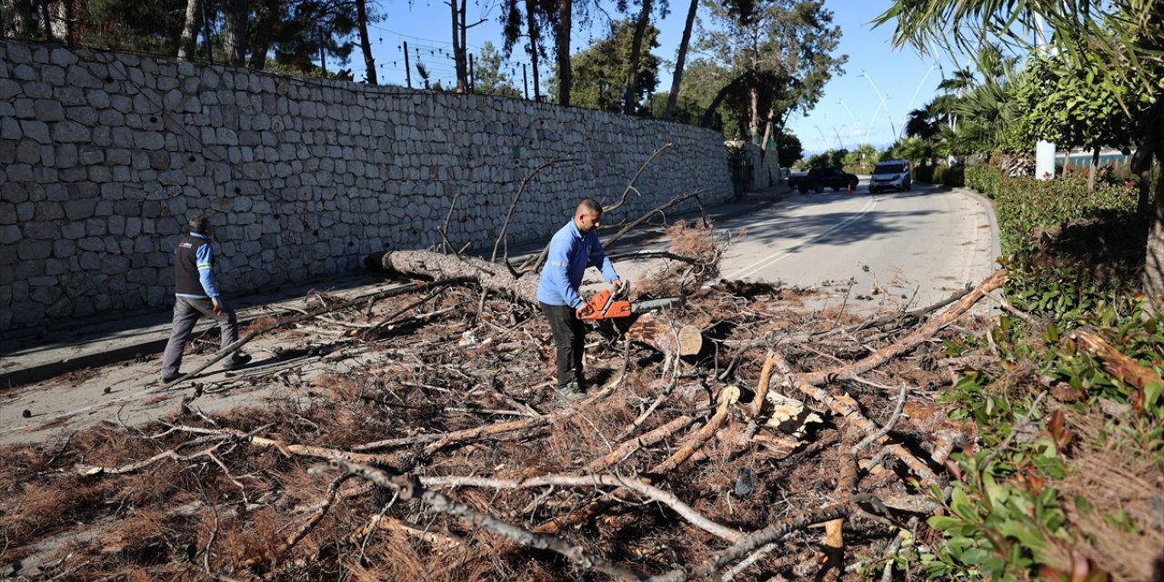 Adana'da şiddetli rüzgar etkili oldu