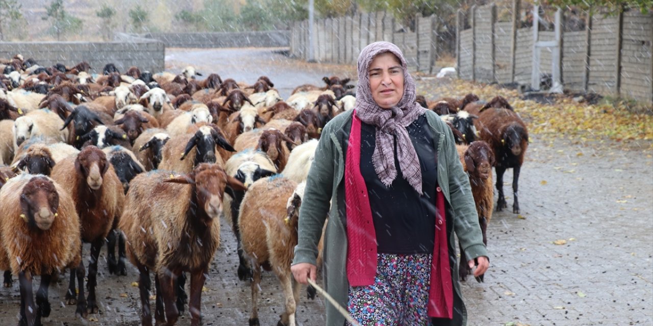 Erzincan'da çiftçi kadın devlet desteğiyle hayvan sayısını iki katına çıkardı