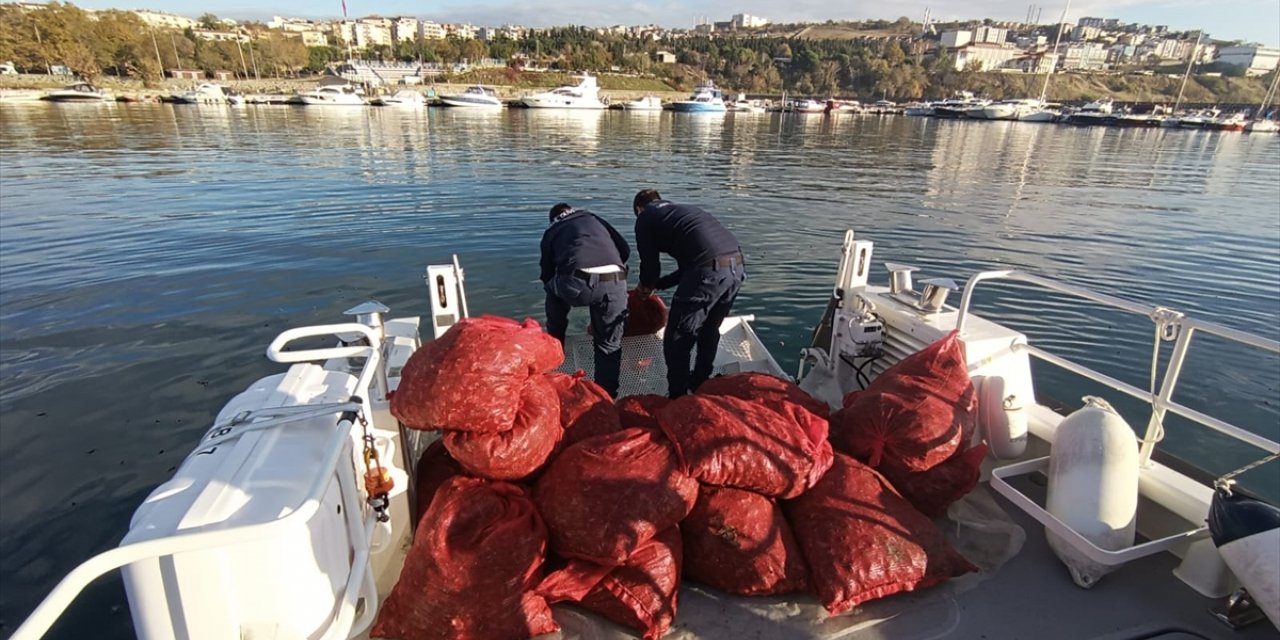 Tekirdağ'da 1 ton 500 kilogram kum midyesi ele geçirildi