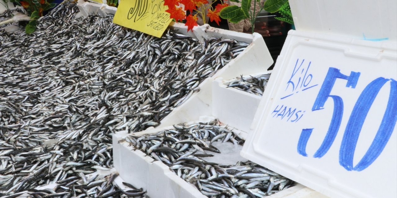 Karadeniz'den bolca avlanan hamsi balıkçı tezgahlarındaki fiyat etiketlerine indirim olarak yansıdı