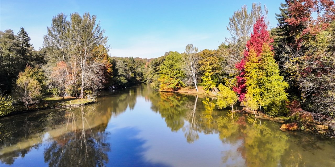 Atatürk Arboretumu'nda sonbahar renkleri