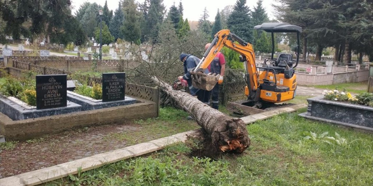 Zonguldak ve Düzce'de fırtınada devrilen ağaçlar mezarlara zarar verdi