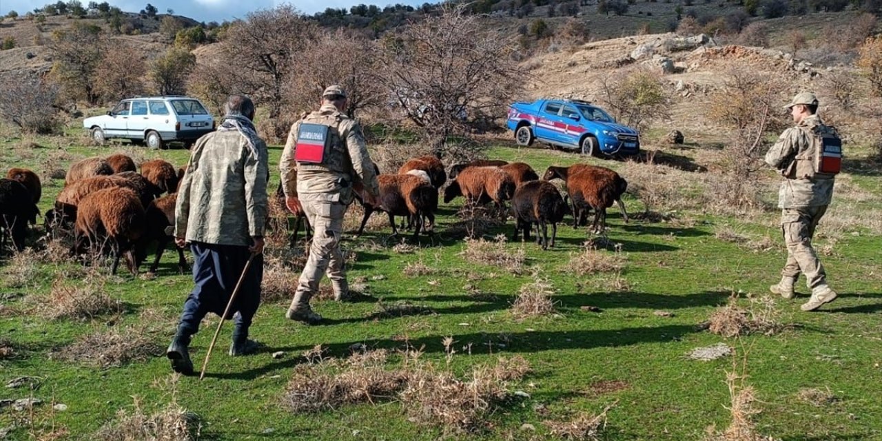 Elazığ'da kaybolan 40 koyun dron görüntüleriyle bulundu