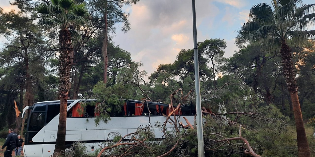 Antalya'da servis otobüsünün üstüne ağaç devrildi 7 kişi yaralandı