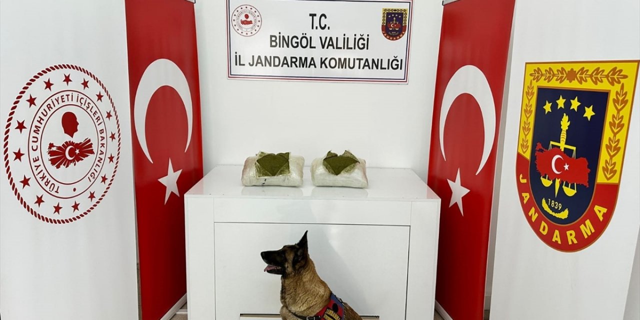 Bingöl'de 12 kilo 550 gram esrar ele geçirildi