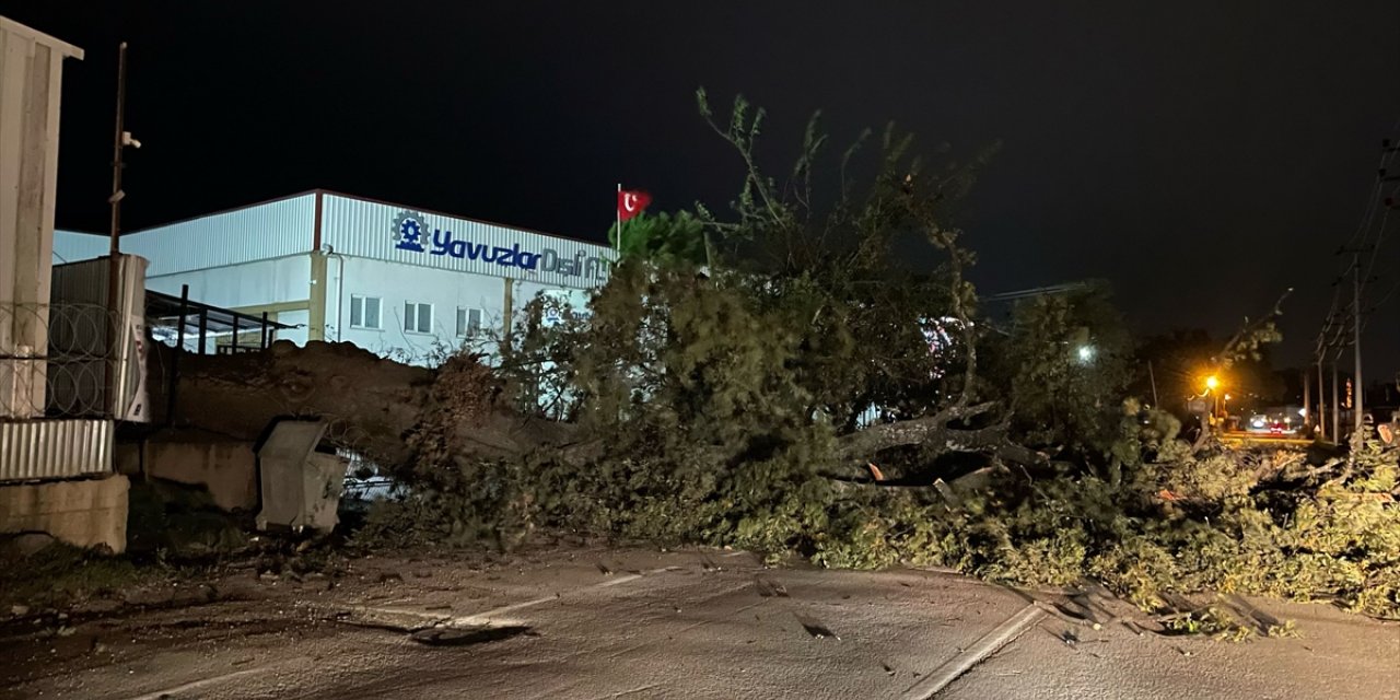 Bursa'da kuvvetli lodos yaşamı olumsuz etkiledi