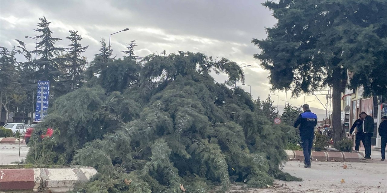 Amasya'da etkili olan şiddetli rüzgar yaşamı olumsuz etkiledi