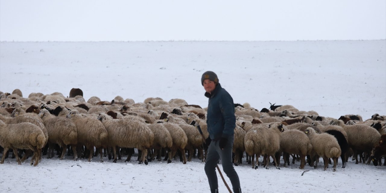 Kars'ta merada kar yağışına yakalanan besiciler zor anlar yaşadı