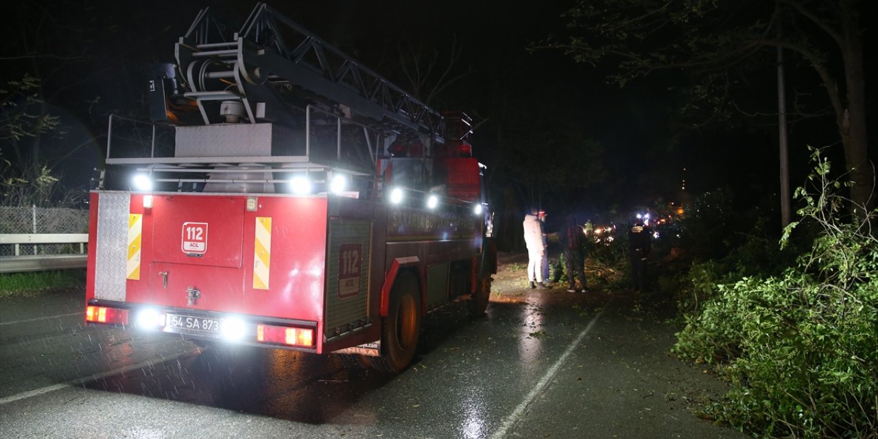 Sakarya'da şiddetli rüzgar nedeniyle yola devrilen ağaç ulaşımı aksattı