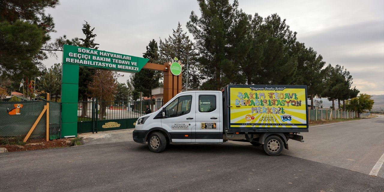 Gaziantep'te yemek atıkları sahipsiz kedi ve köpekler için mamaya dönüşüyor