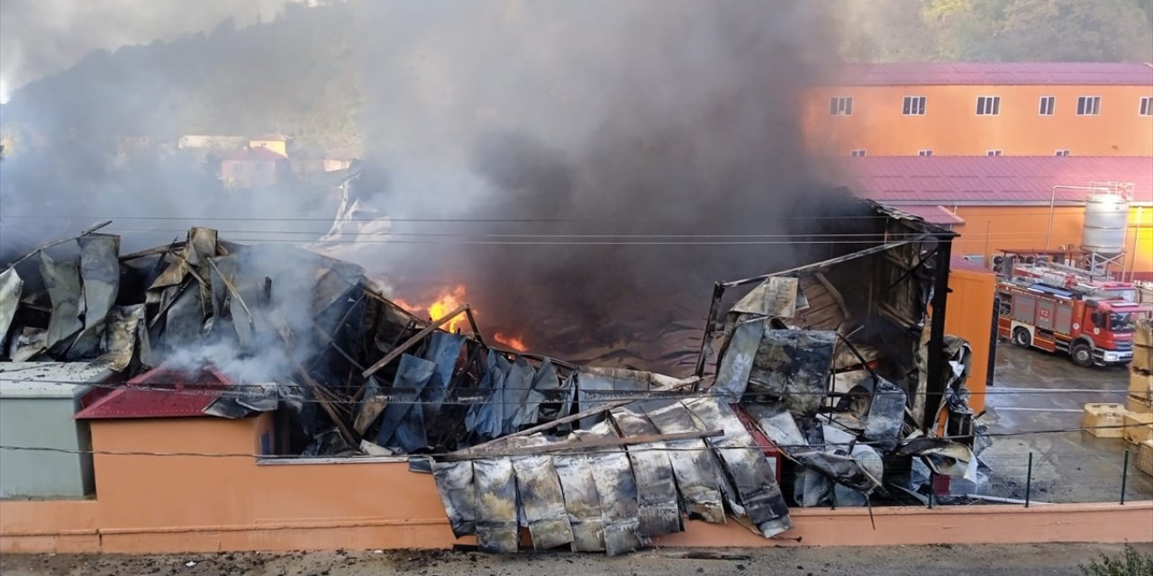 Giresun'da balık işleme fabrikasının soğuk hava deposunda yangın çıktı